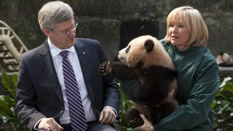 A man in a suit and tie with glasses (Stephen Harper) sits next to a woman in a green outfit (his wife, Laureen) holding a giant panda. The panda and the man regard one another.