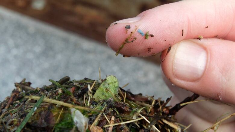 microplastic in soil