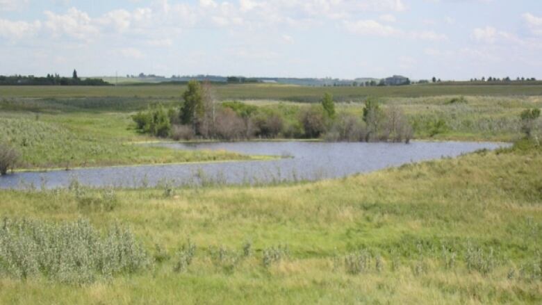 A grassy area with a body of water.