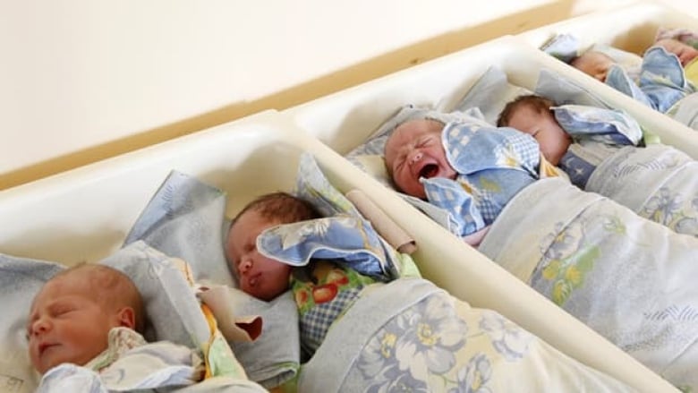 Newborn babies in a perinatal centre in Moscow.