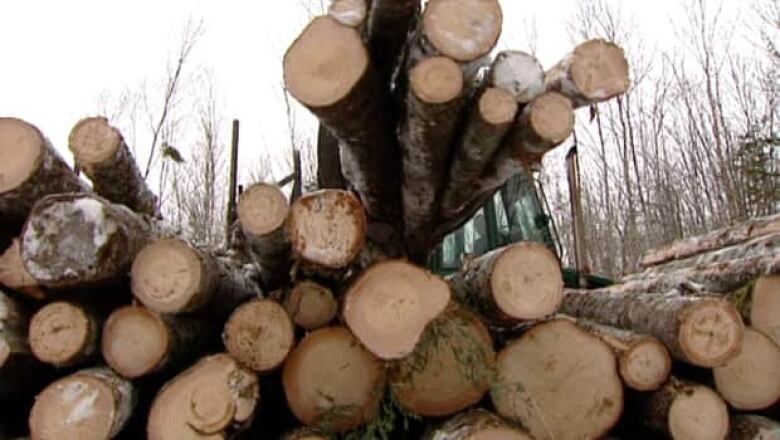 Trees that have been cut down are stacked on top of each other. 