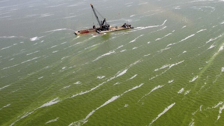 In this Aug. 21, 2013 photo, a dredge barge works along the edge of a large algae bloom in the Toledo shipping channel in Toledo, Ohio. Toxins from the algae blooms on western Lake Erie are infiltrating water treatment plants along the shoreline, forcing cities to spend a lot more money to make sure their drinking water is safe.