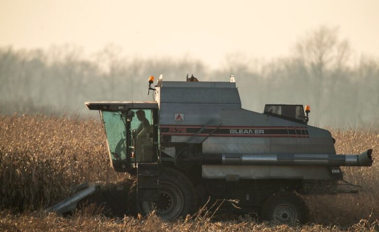 A farmer sits inside a corn harvester.