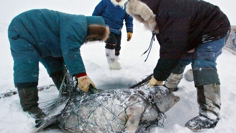 Two people bend over in the ice and snow to haul a net containing a dead seal.