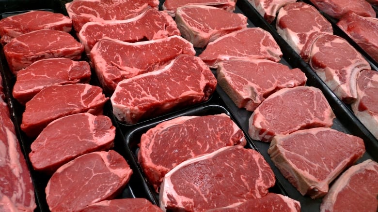 Raw steaks sit row by row in a grocery store.  