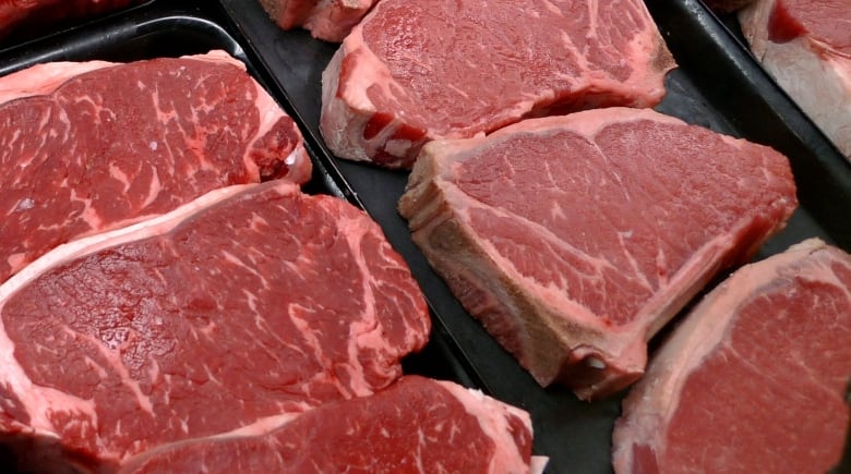 Raw steaks sit row by row in a grocery store.  