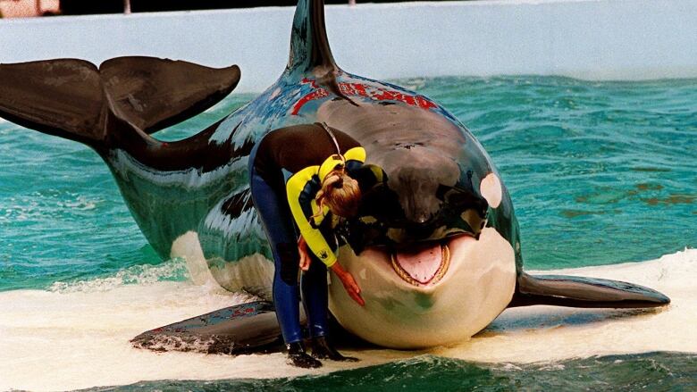 A photo of Lolita and her trainer at the Miami Seaquarium.