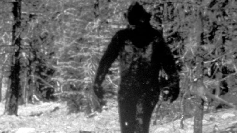 A film photo from 1977 depicts a tall dark figure walking towards the camera. In the background there appears to be pine trees. 