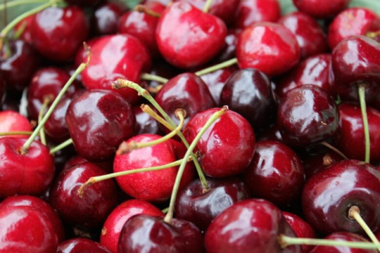 A close up of a  lot of red cherries