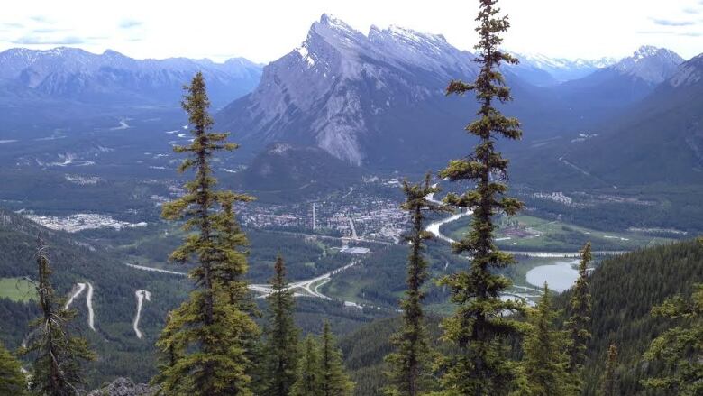 The view of Banff from Mount Norquay. 