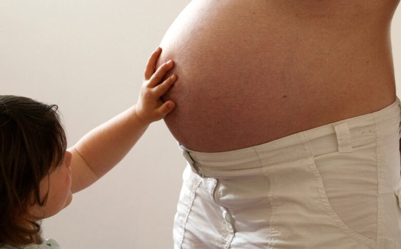 small child touches a pregnant belly