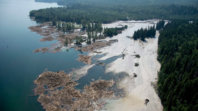 Murky sludge leaches into blue waters