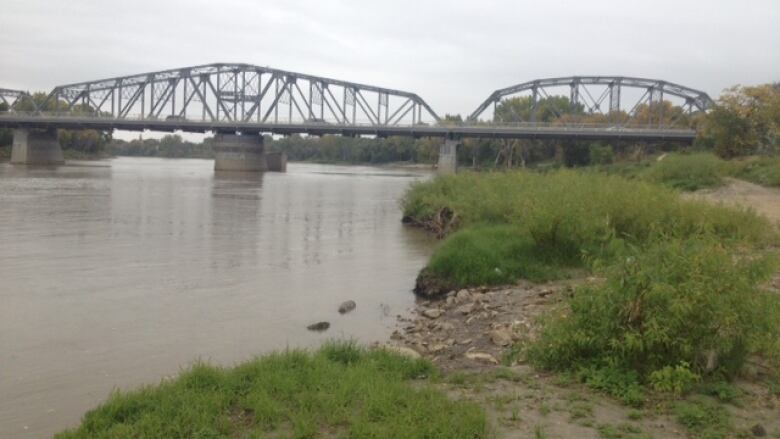 A river and a green, grassy riverbank near a bridge.