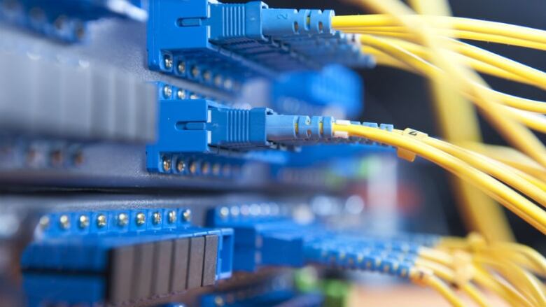 Roughly a dozen brightly coloured computer cables connect to a panel. 