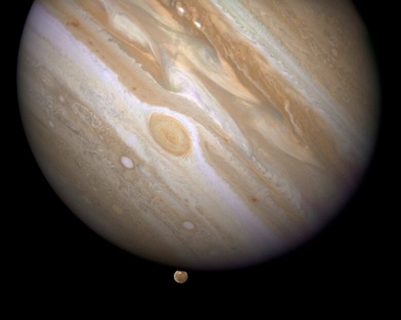 Jupiter, with different shades of browns and white bands and a large egg-shaped storm, hangs in the blackness of space, with its moon Ganymede.