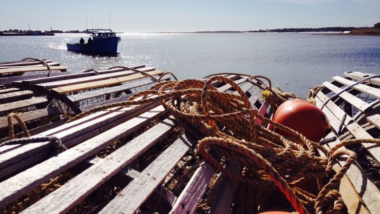 Lobster traps are piled one on top of the other along the water's edge. A fishing boat is in the background.