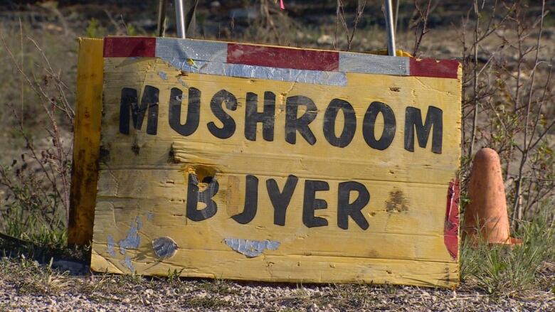 A sign that says mushroom buyer sits in the dirt.