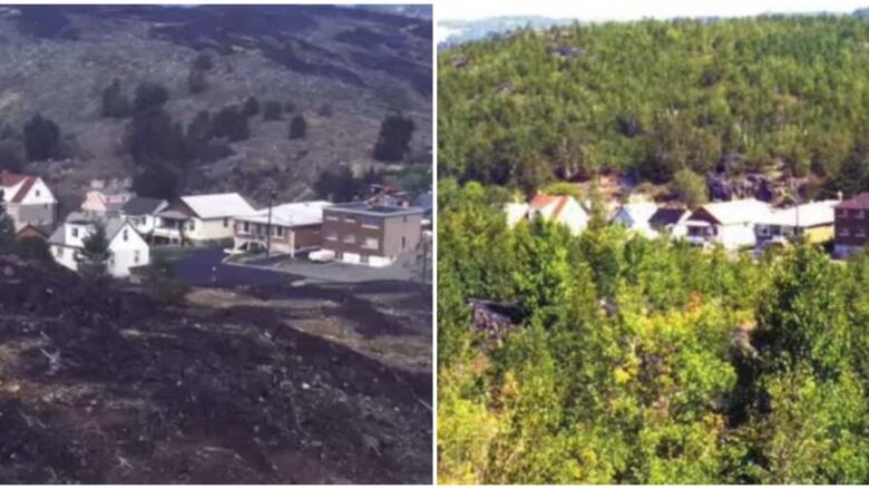 Side-by-side images of a barren neighbourhood and the same neighbourhood years later with more trees.