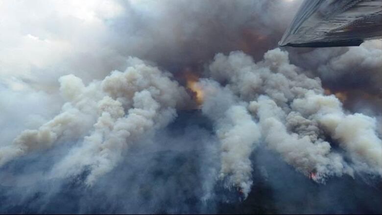 Smoke from a forest fire.