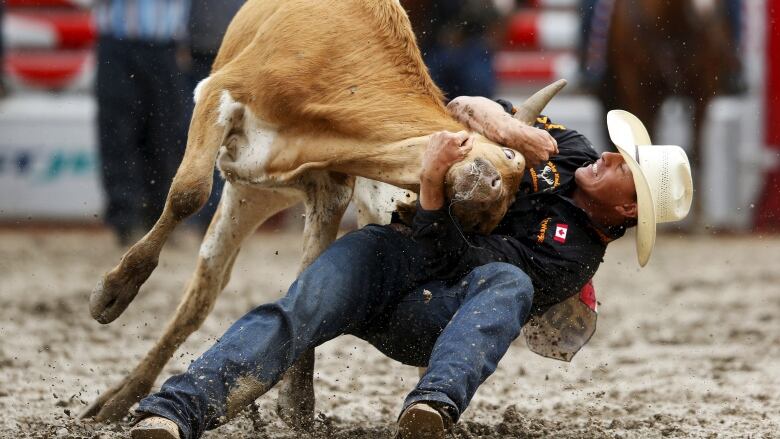 a cowboy wrestles a steer 