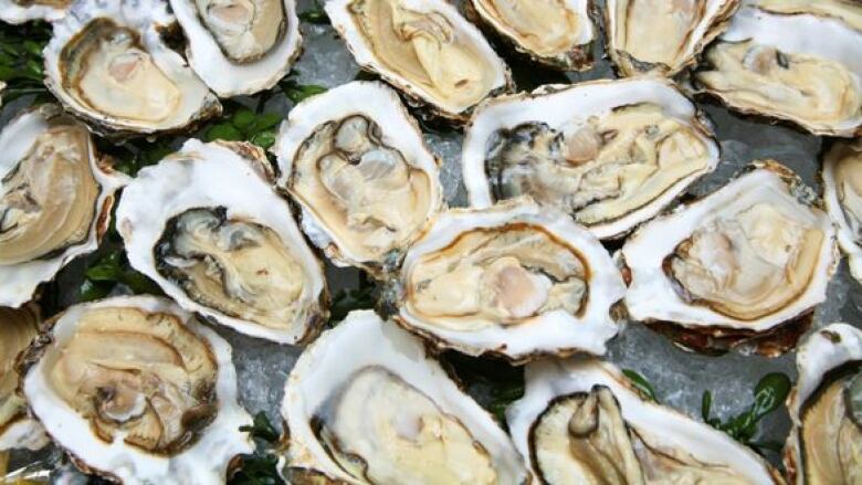 Oysters shucked and ready to eat.