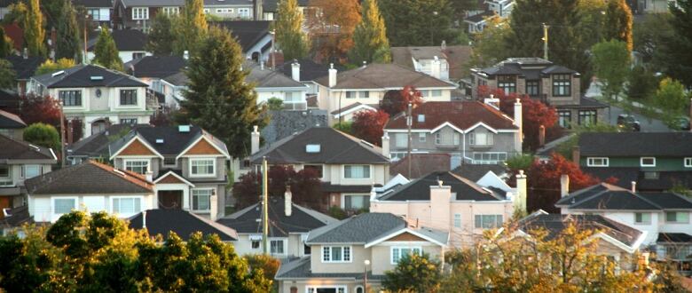 Single homes near Vancouver's Queen Elizabeth Park appear tightly stacked in a telephoto close-up photograph. 