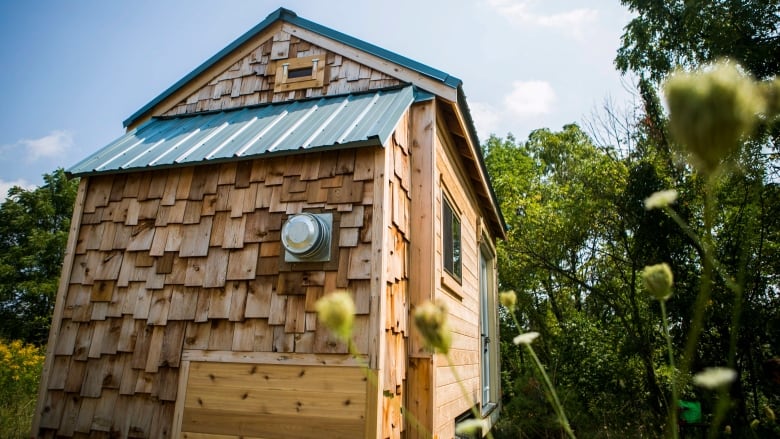 A tiny home with wood siding in summer.