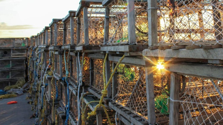 Lobster traps lined up on a jetty with a sunset shining through them.