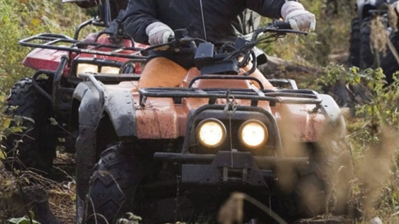 A close up of some ATVs being driven through the bush.