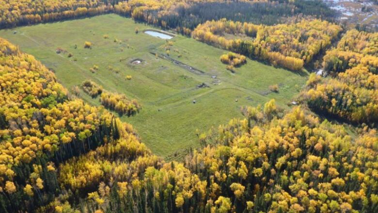 An empty field with trees around.