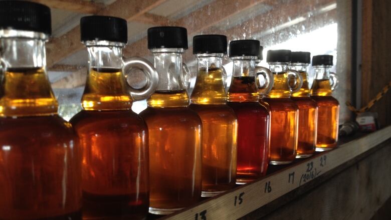 bottles full of maple syrup in a row