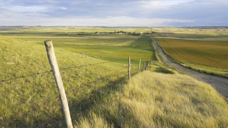 A panoramic view of a grassland in Alberta.