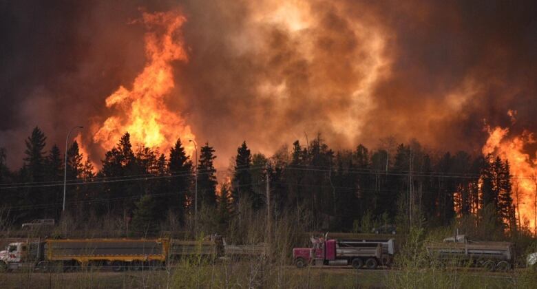 Flames shoot above a tree line while logging trucks drive past.