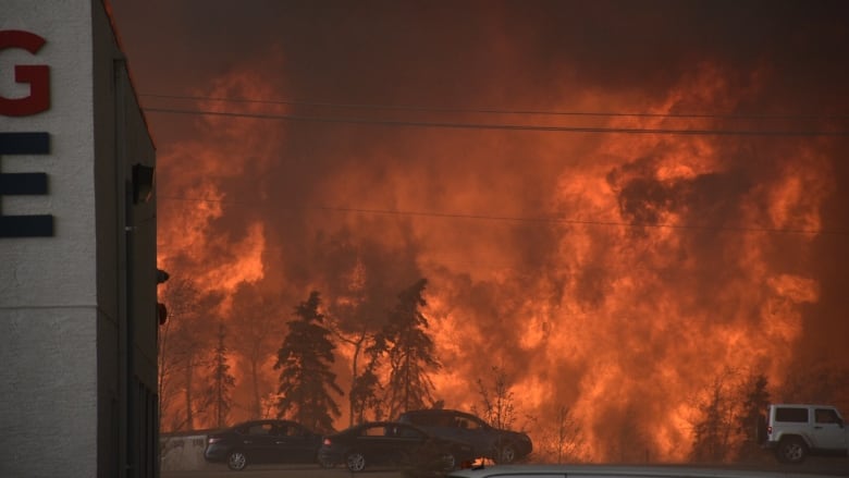 Flames are seen in trees above a hotel in Fort McMurray.