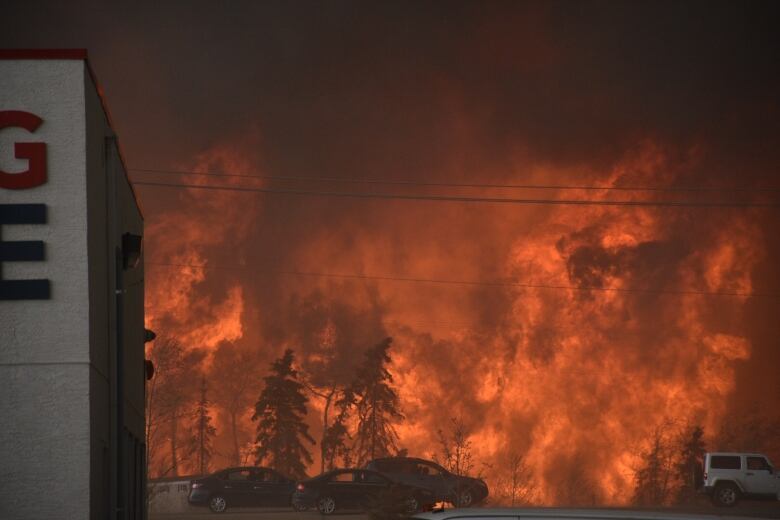 Flames are seen in trees above a hotel in Fort McMurray.