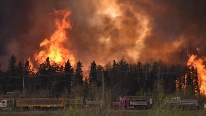 A large fire burning behind trucks and trees at Fort McMurray 