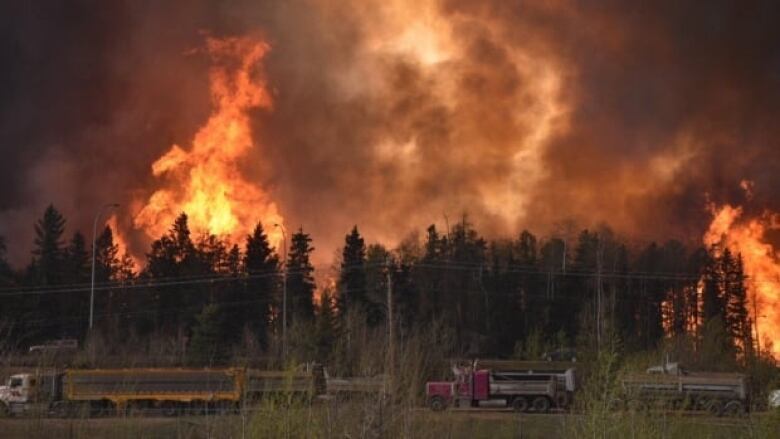 A large fire burning behind trucks and trees at Fort McMurray 