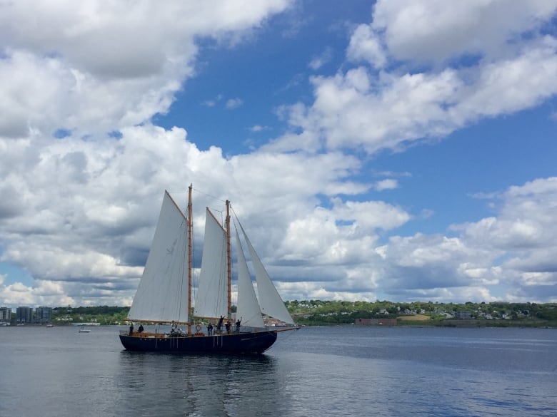 Large boat in water against a picturesque background. 