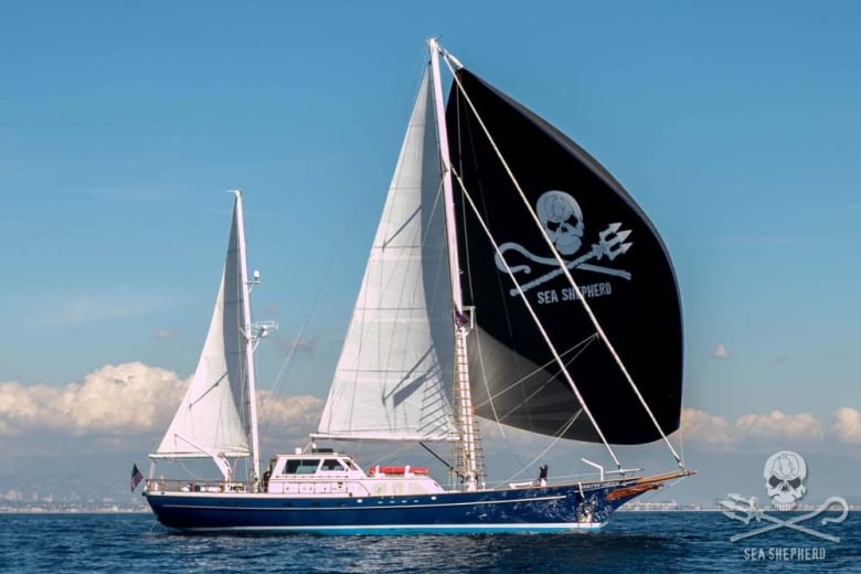 A blue sailing vessel with two white flags and one black flag with a skull and crossbones made of a shepherd's hook and a triton.