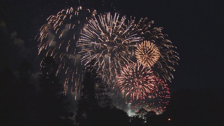 A photo from a fireworks display in Charlottetown, P.E.I. on July 2, 2015. 