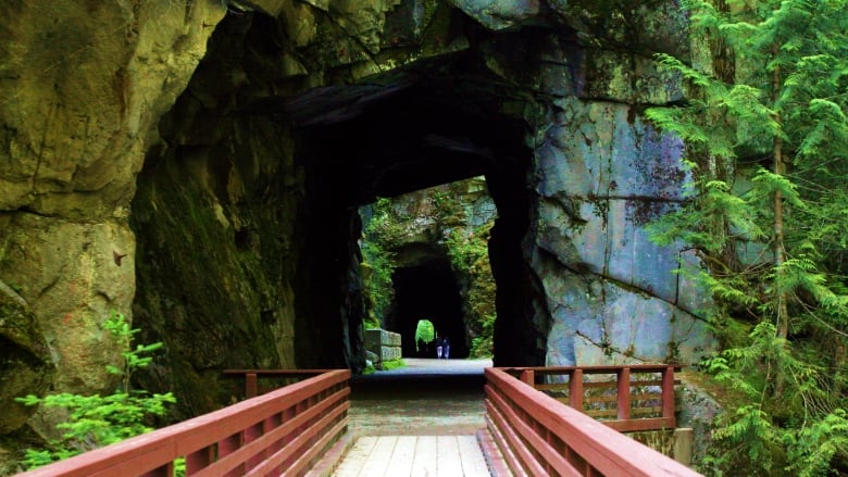 A bridge with a red railing and white deck leads to a short, dark tunnel.