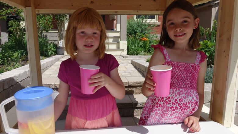 Eliza and her five-year-old sister Adela Andrews set up a lemonade stand in July 2016, to raise money for summer camp.