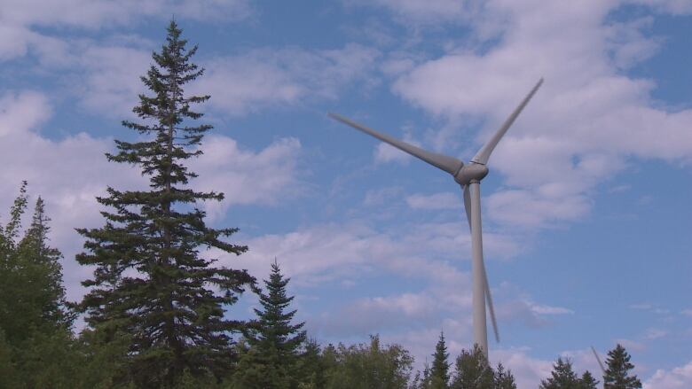 A tall wind turbine with three large narrow blades is seen sticking up above the trees.