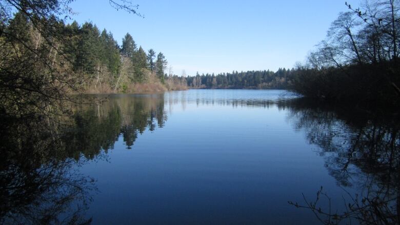 A blue lake surrounded by trees.