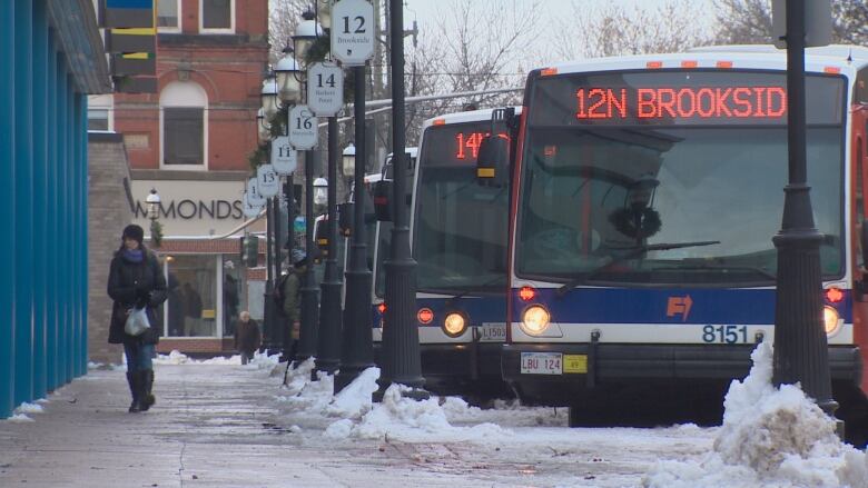 several buses parked side by side