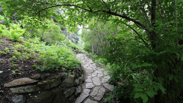 A stone pathway runs through thick foliage. 