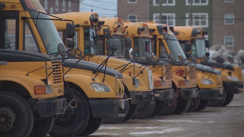 A lineup of school buses