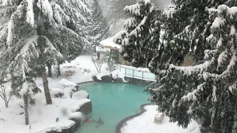 Snow covers a hot spring pool, with trees surrounding it.