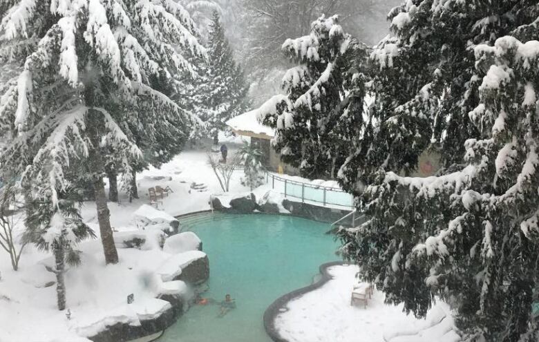 Snow covers a hot spring pool, with trees surrounding it.