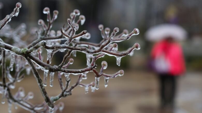 Environment Canada has issued weather warnings for much of New Brunswick with heavy snow on the way in the northwest, freezing rain in the northeast, and heavy rain in the southwest.